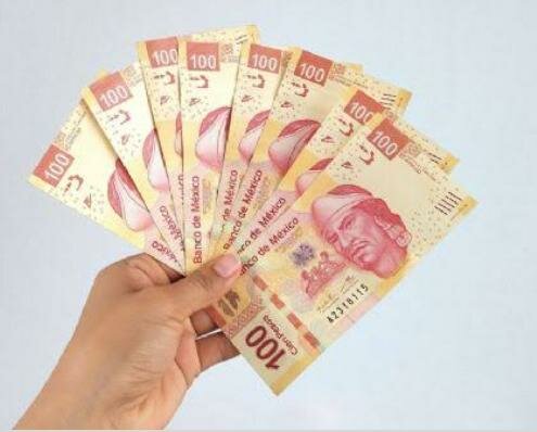 APOYO ECONÓMICO AL IPN