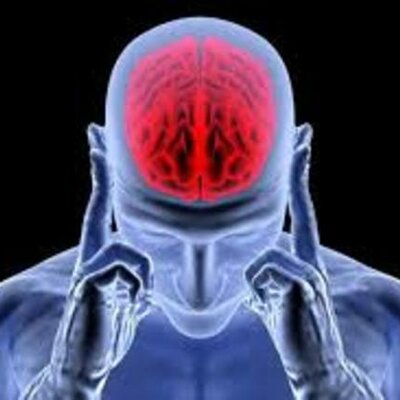 Timeline: Actividad 1: Foro ¿De dónde viene y para dónde va el cerebro?