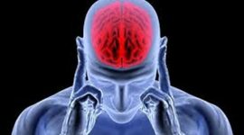 Timeline: Actividad 1: Foro ¿De dónde viene y para dónde va el cerebro?