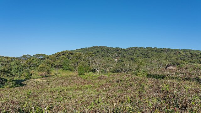 Reserva de la biosfera