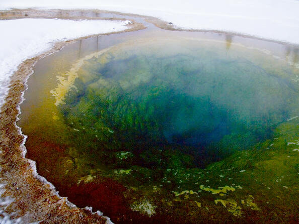 Parque Yellowstone