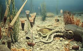 Ordoviitsium