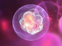 Comunicación celular (Hace 3700 millones de años)