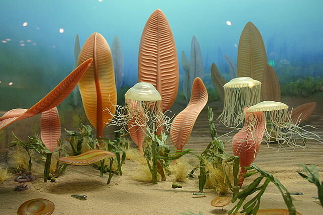 Proterosoikum e. agueoon