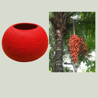 Timeline: Sistemas de numeración y conjuntos numéricos