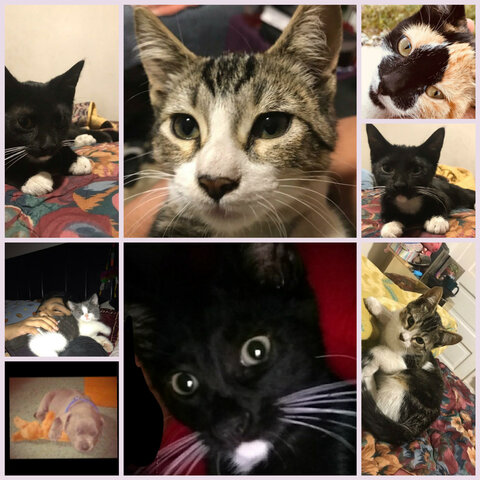 Early years(First Memory, Pictures, Siblings Born, Pets, Where do you live)?