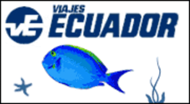 Empiezo mis prácticas en Viajes Ecuador