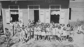 Timeline: Desarollo histórico del Programa de Ciencias en Departamento de Educación de PR.