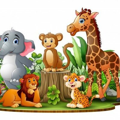 Timeline: Curiosidades fofas sobre os animais