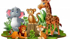 Timeline: Curiosidades fofas sobre os animais