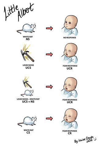 CONDICIONAMIENTO CLÁSICO: Watson
