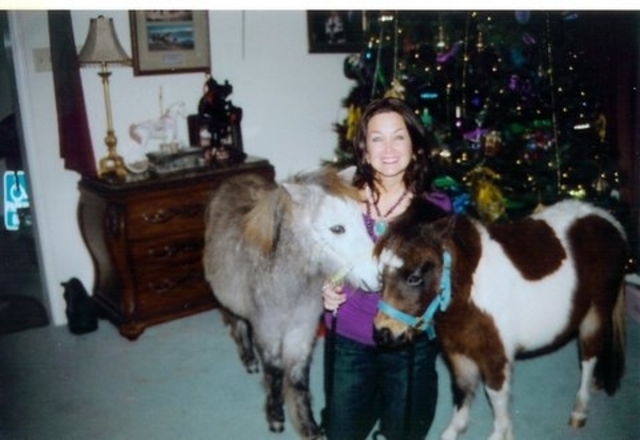 My Mini's  Holly and Cowboy