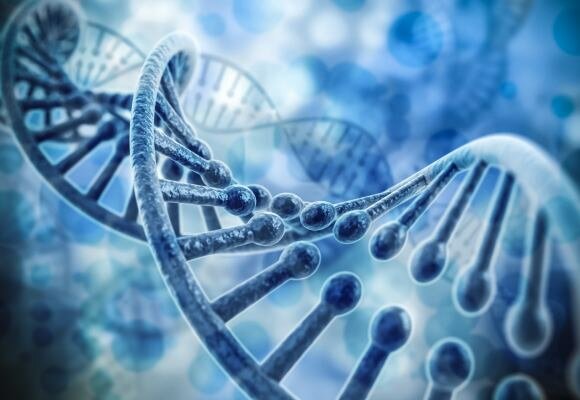 Genética bacteriana