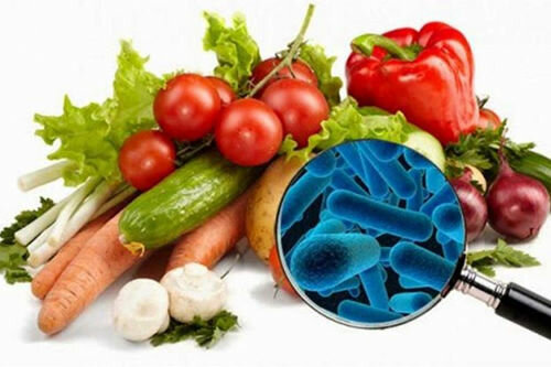 Microbiología de alimentos