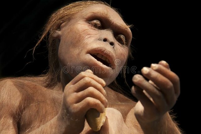 australopithecus