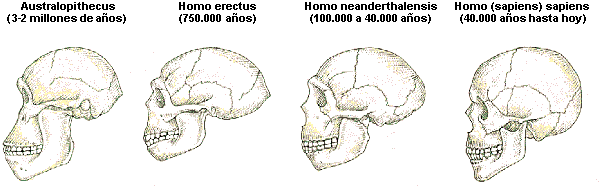 En cuales Organismos?