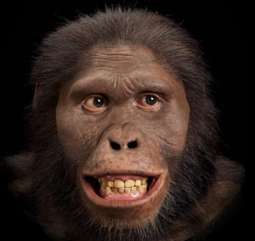 ¿Cuándo surgió el primer cerebro y de que organismos?