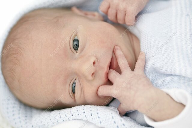 Birth Through Two Weeks