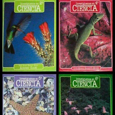 1980-1990 Revisión curricular