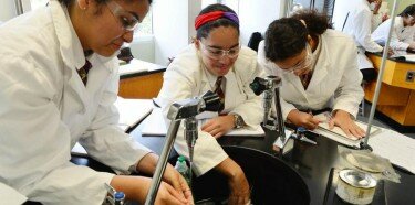 Reorganización curricular nivel superior