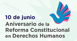 REFORMA CONSTITUCIONAL EN MATERIA DE DERECHOS HUMANOS