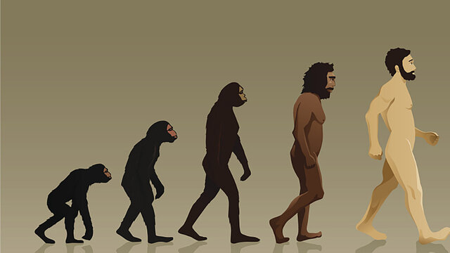 Surgimiento de los homínidos. Hace 3900 millones de años.