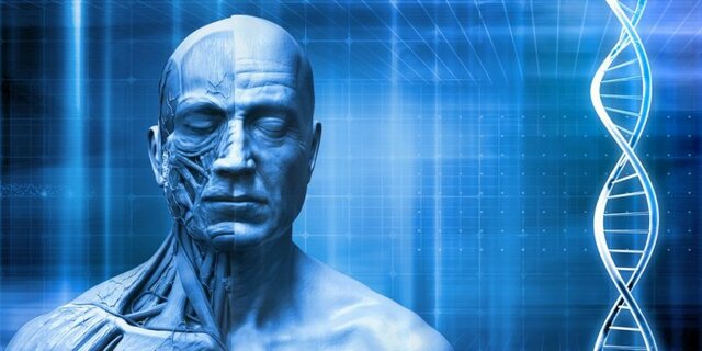 Ser humano (Actualidad)