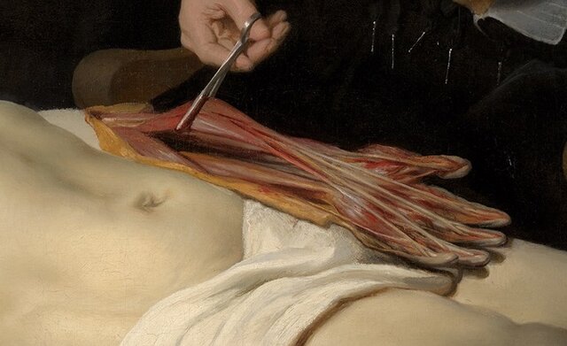 LECCIONES DE ANATOMÍA.