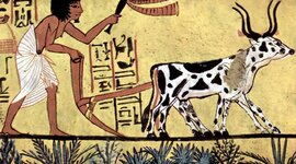 Timeline: HIstòria Antiga