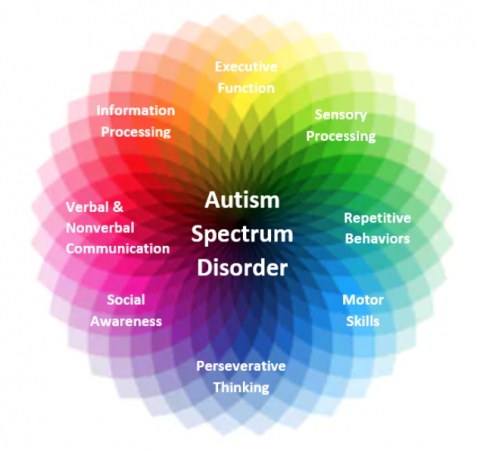 Classification of Autism
