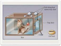 Principio del todo o nada del aprendizaje