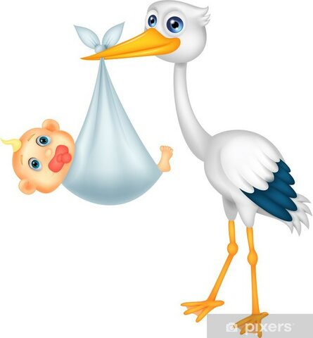 El dia del meu neixement