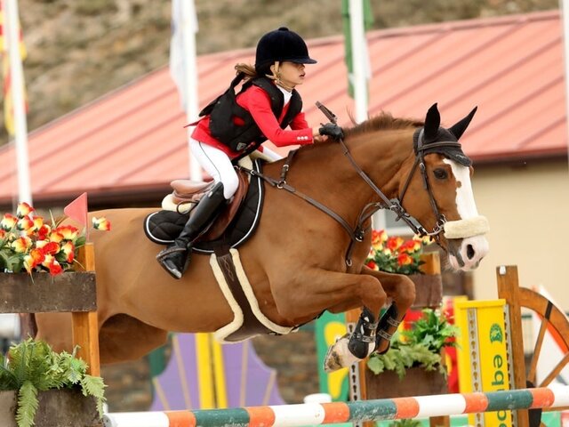 competició d'equitació