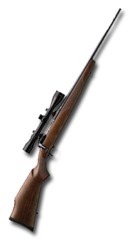 i got my first gun M14