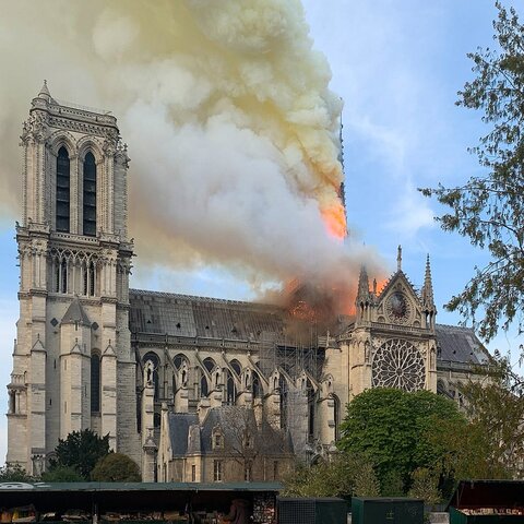 incendi de notredam (cultural)