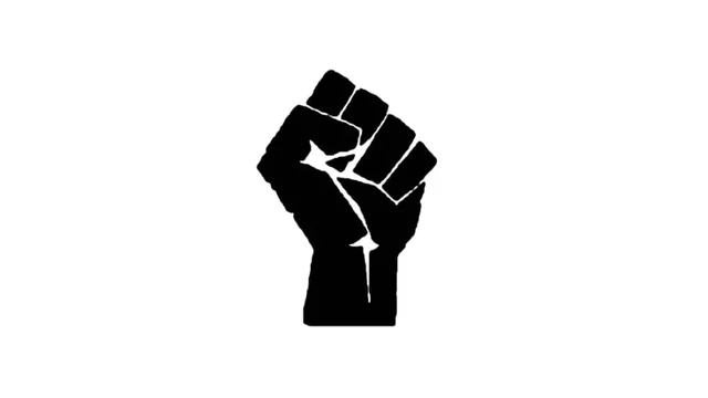 FET SOCIAL: COMENÇA BLM