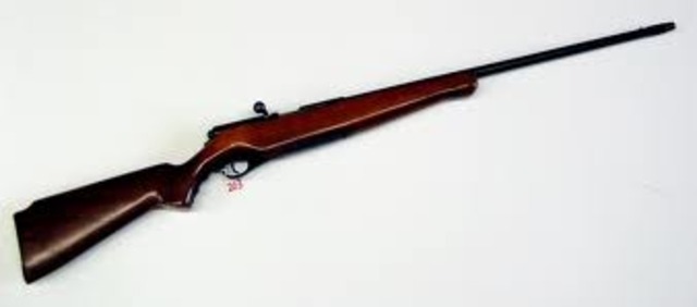 My first hunting shoutgun