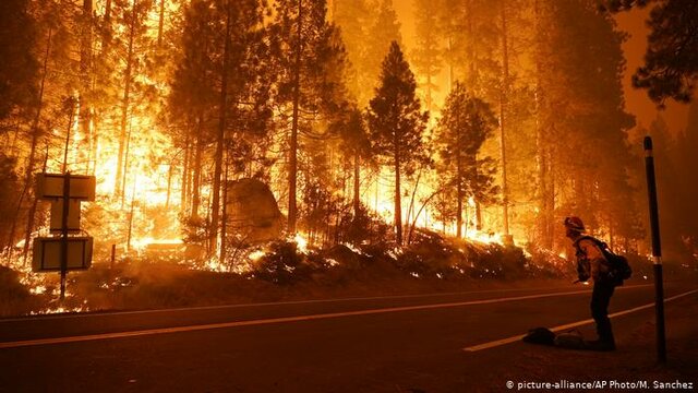 incendis furestals a la selva amazonica
