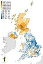 Referèndum del Brèxit (fet social)
