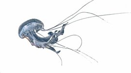 Timeline: EVOLUCION DEL SISTEMA NERVIOSO