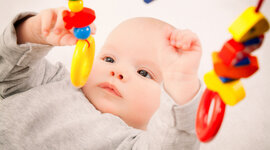 Timeline: Developmental Milestones