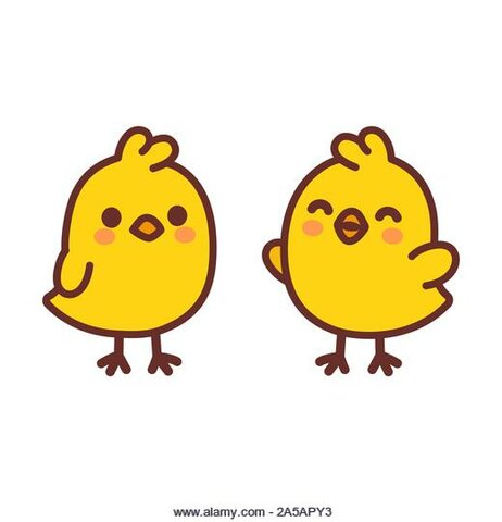 Conec a la meva millor amiga