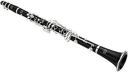 Primer concert amb clarinet