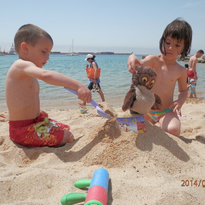 Timeline: Linia del temps