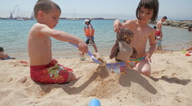 Timeline: Linia del temps