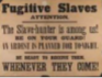 The Fugitive Slave Act