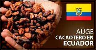 EL auge cacaotero
