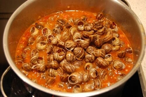 Primer cop que vaig provar els cargols