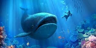 Jonah Goes to Ninevah