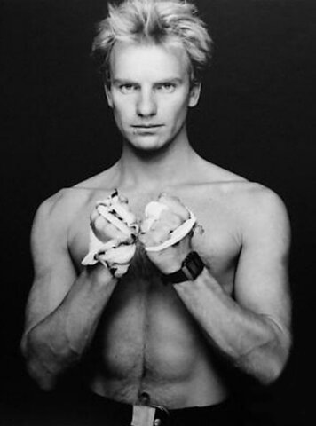 PRIMERA WEB DE COMERCIO ELECTRÓNICO: